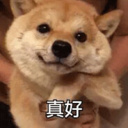 不是二刺猿不会玩