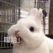 ᥫᩣ 𝙡̶̶̶𝙤̶̶̶𝙫