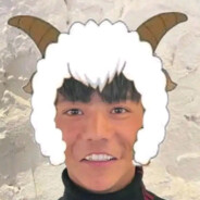 羊村第一讨口子丁真