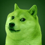 DOGE PRESIDENTE 2024