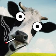 thecow - steam id 76561197961393256