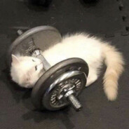 anabolic catboy