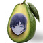 Avocado-san