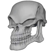 the invincible unicorn