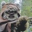 Ewoks Fokin