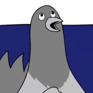 鸟大了什么林子都有