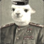 Colonel Alpaca