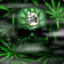 Green Ninja