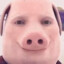 John Pork