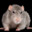 Rat125