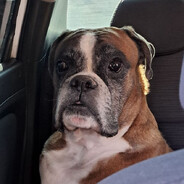 Legion - steam id 76561199067060934