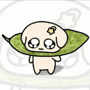 别骂了我是新手