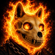 DOGE PRESIDENTE 2024