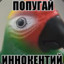 попугай Иннокент