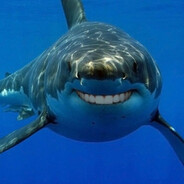 Tonhão Tubarão