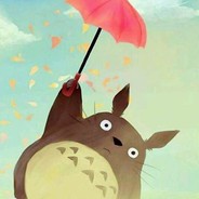 我就是那只龙猫呀