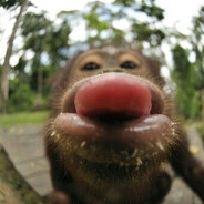 sterbeN - steam id 76561198852575244