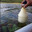 Водный