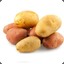 Insipid_Potatoes