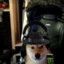 gaming doge