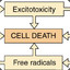 Excitotoxicity