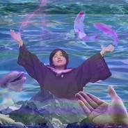 快乐锦鲤每一天