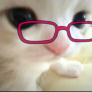 小猫拿枪法力无疆