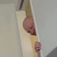 qń