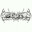 SfLl