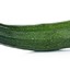 TheOnlyZucchini