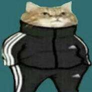 hako2k avatar