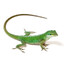 the lizard