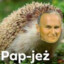 PAPJEŻ