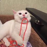 TIGR2009(ЦИРКАЧ)