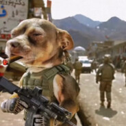 甲都没破你就说差一枪