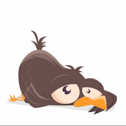 Bird Fcker