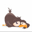 Bird Fcker