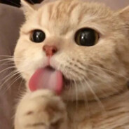 简伯丞的三号机