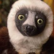 ZoBooMaFoo