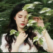 日子全都喂给了猫