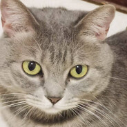 卡了电竞丿子涵