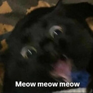Meow meow meow