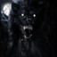 BLACK_WOLF!