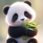 Bố Của Panda