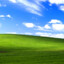 windows xp