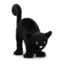 Spooky Cat