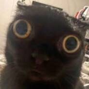 imalwayssoft Steam avatar