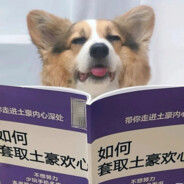 头好痒要长脑子了