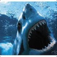 Killer-Shark