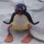 PINGU